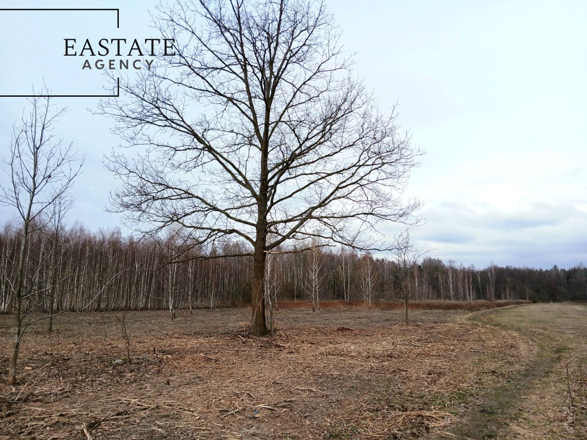 Działka budowlana Koryta, ul. Północna. Zdjęcie 4