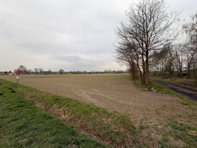 Działka budowlana Sucha. Zdjęcie 1