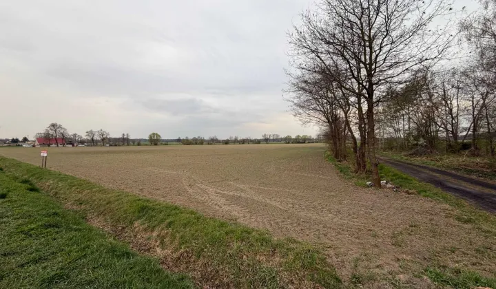 Działka budowlana Sucha