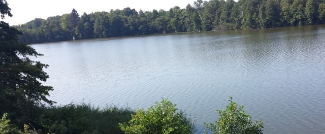 dom wolnostojący, 7 pokoi Strączno. Zdjęcie 14