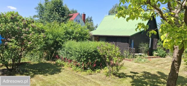 Działka rod Krępa. Zdjęcie 1