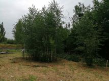 Działka budowlana Sochaczew, ul. Torowa. Zdjęcie 3