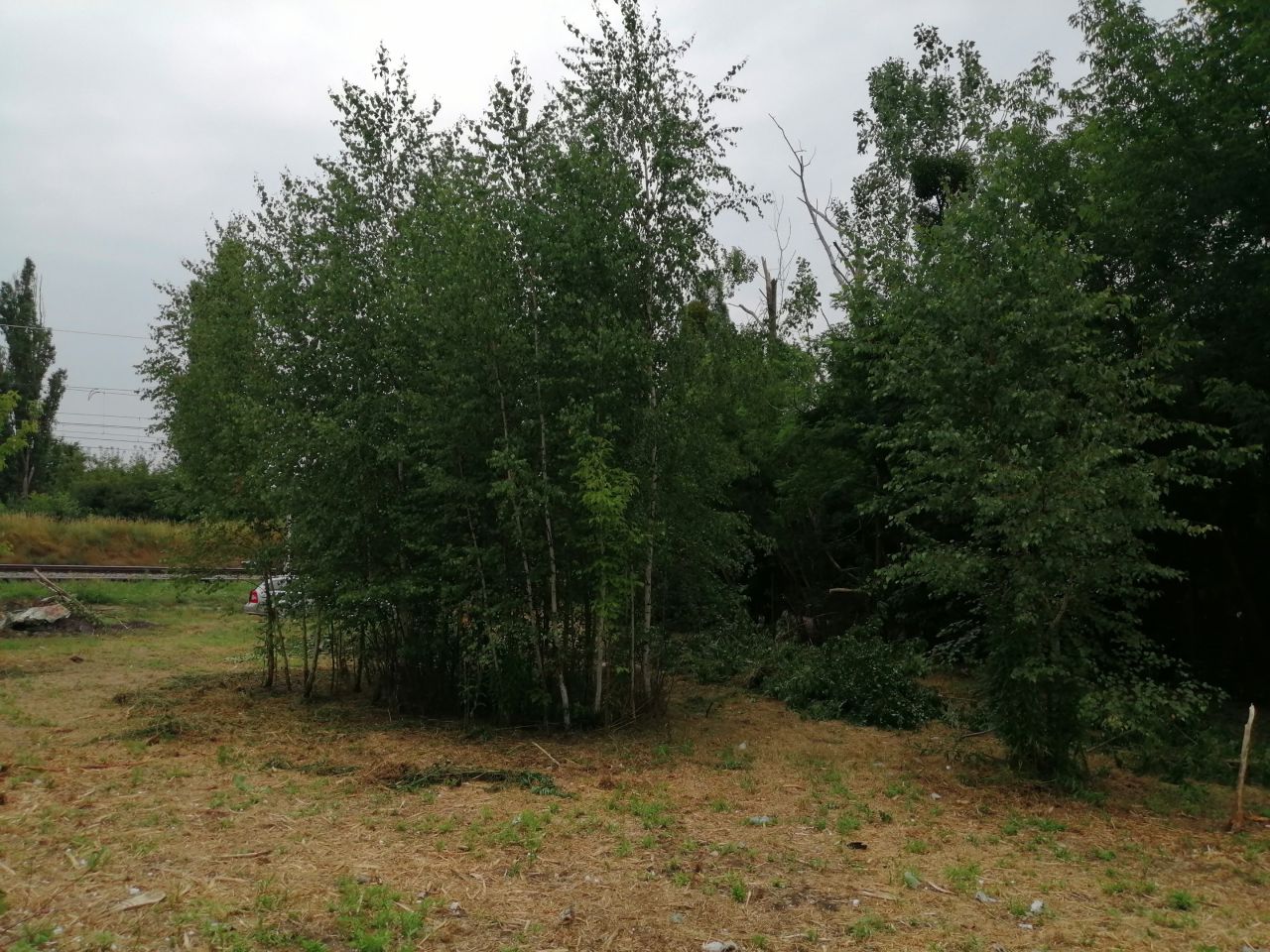 Działka budowlana Sochaczew, ul. Torowa. Zdjęcie 4