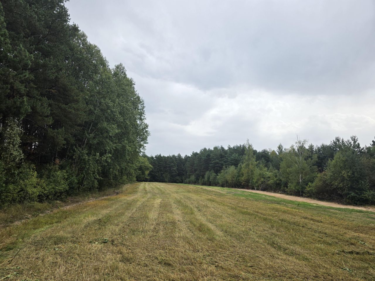 Działka inwestycyjna Suków Pastwisko. Zdjęcie 6