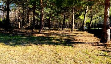 Działka budowlana Milanówek