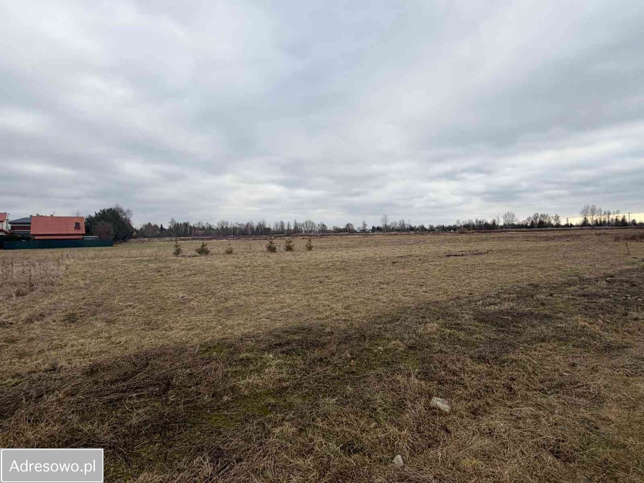 Działka budowlana Radzymin, ul. Leśna. Zdjęcie 2