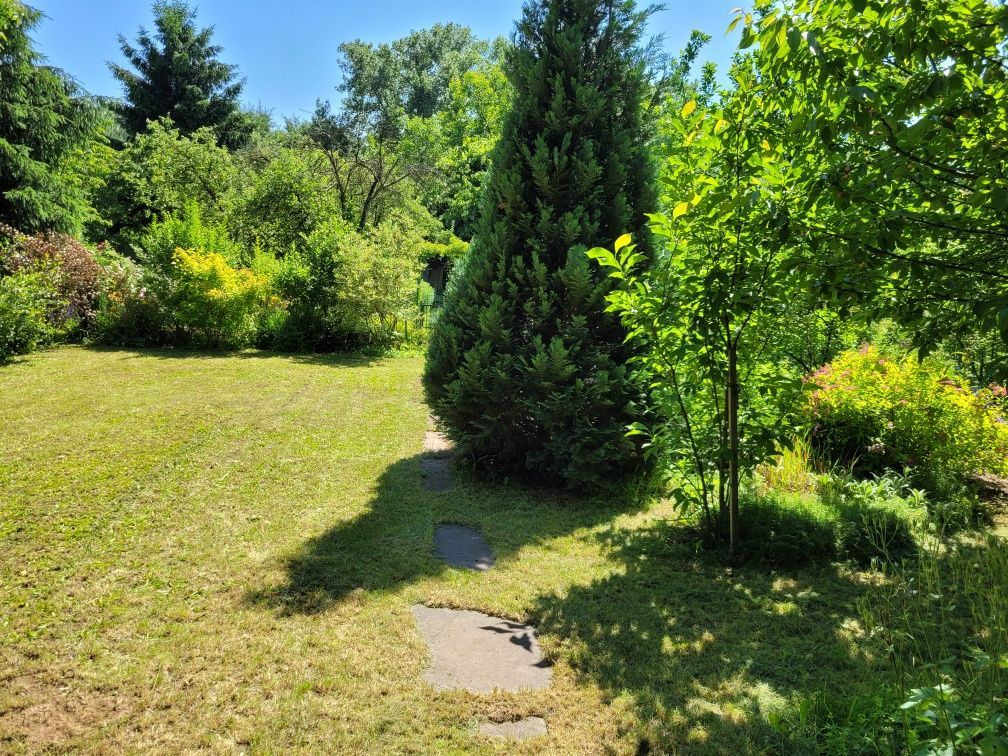 Działka rod Legnica. Zdjęcie 8