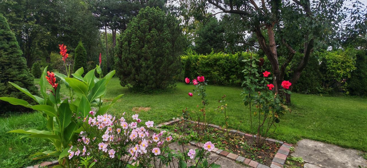 Działka rod Łódź Chojny, ul. Pryncypalna. Zdjęcie 8