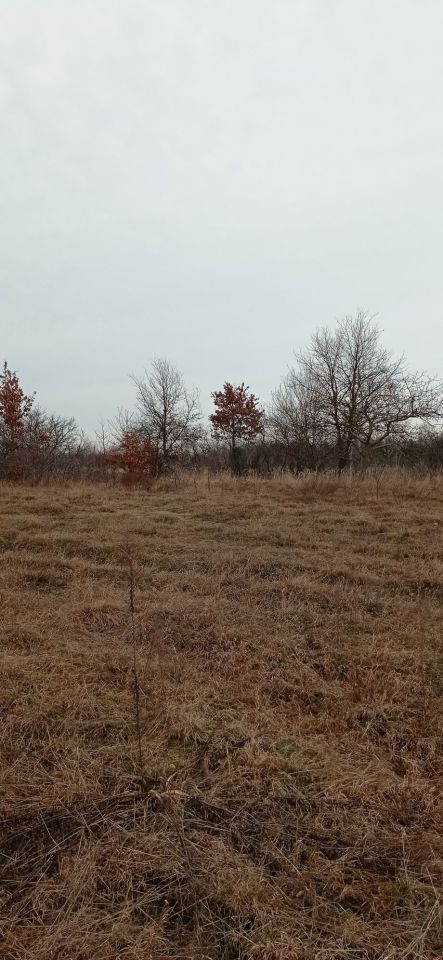 Działka budowlana Sołtyków, ul. Główna. Zdjęcie 3