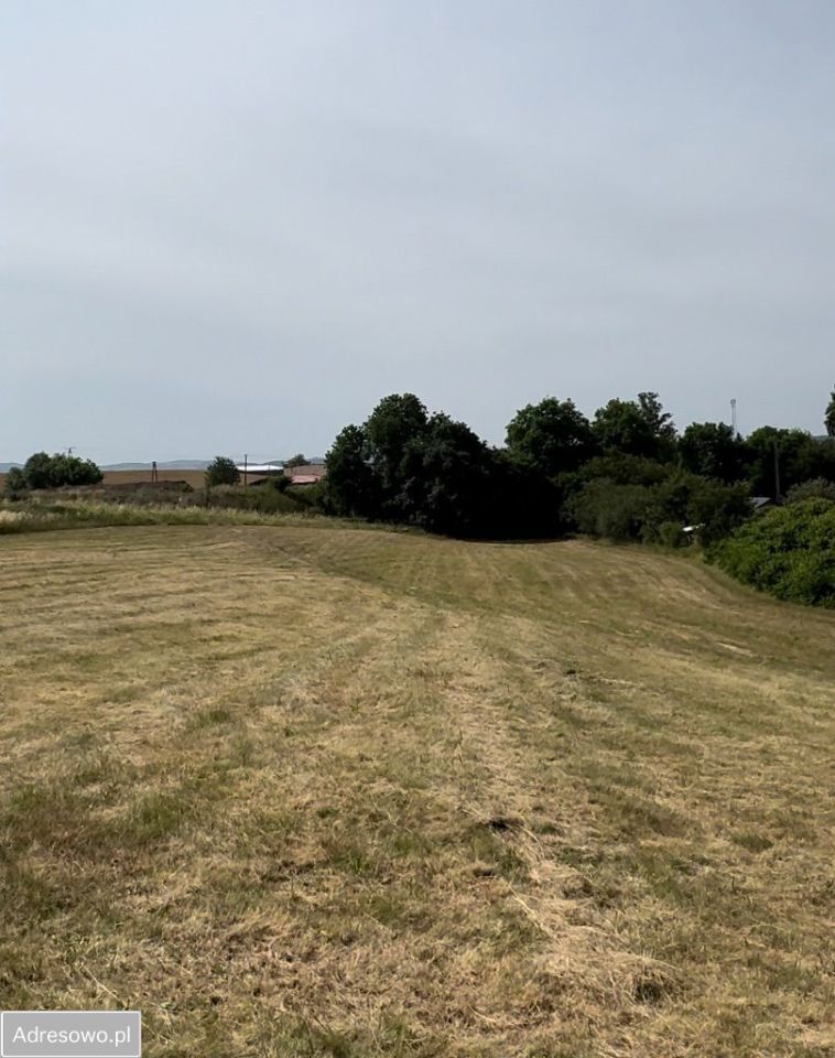 Działka budowlana Sady Dolne. Zdjęcie 2