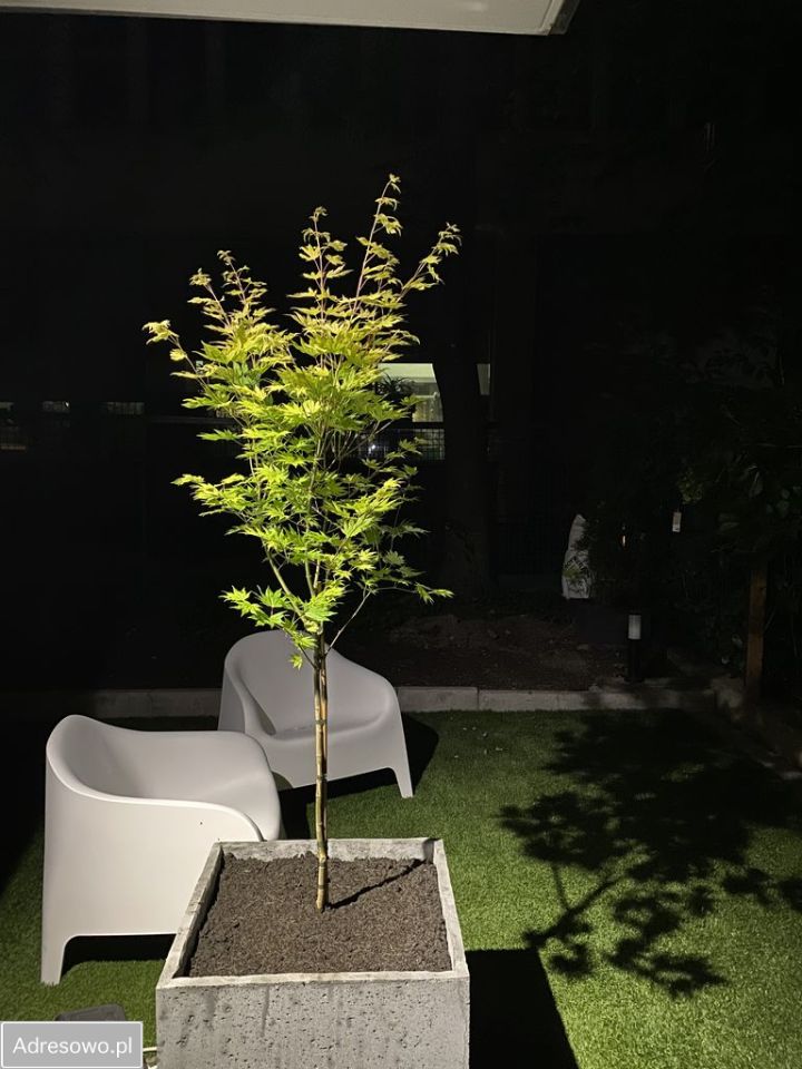 Mieszkanie 2-pokojowe Kraków Salwator, ul. gen. Tadeusza Kościuszki. Zdjęcie 6