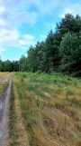 Działka budowlana Tumlin-Osowa, gminna. Zdjęcie 1