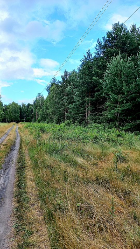 Działka budowlana Tumlin-Osowa, gminna. Zdjęcie 2