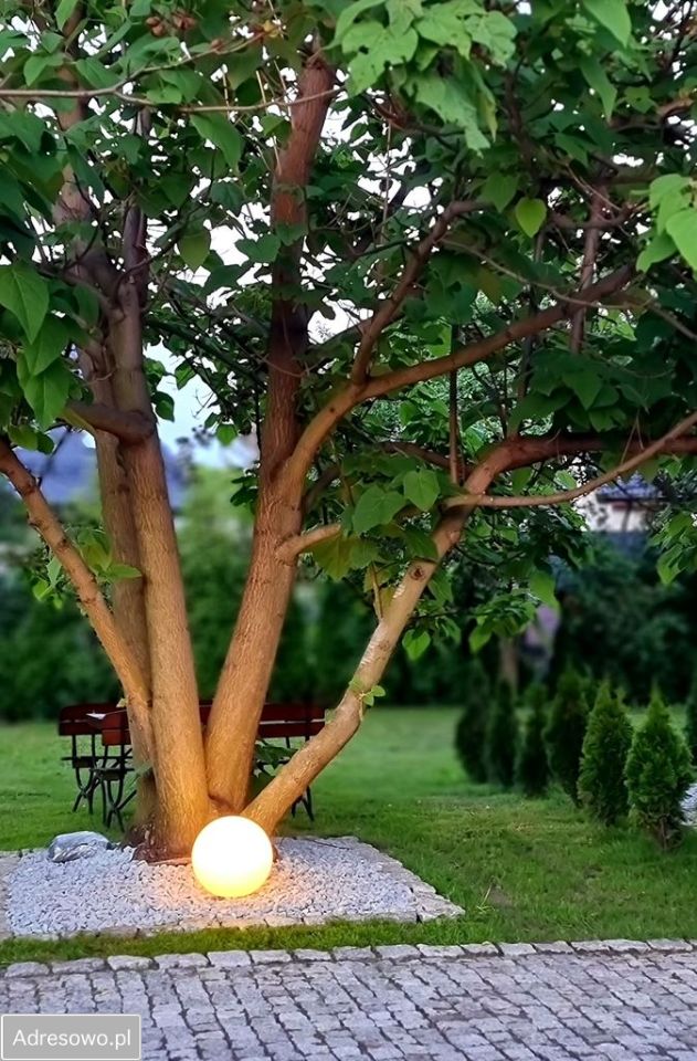dom wolnostojący, 4 pokoje Bielawa. Zdjęcie 5
