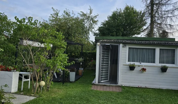 Działka rod Sosnowiec Klimontów