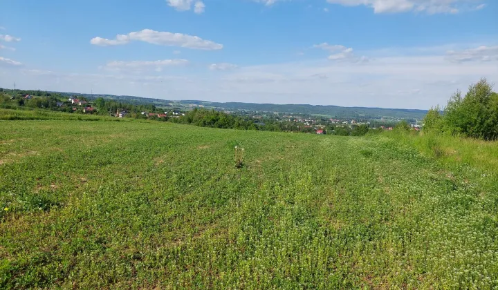 Działka budowlana Dynów, ul. ks. Józefa Ożoga