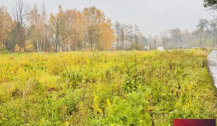 Działka budowlana Łobódź