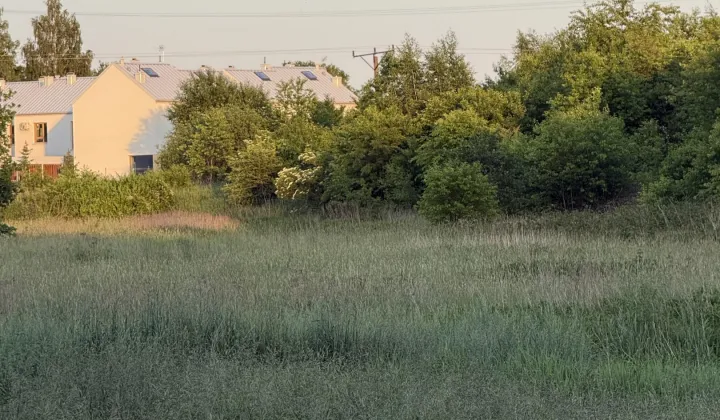Działka rekreacyjna Łódź Górna, Bieszczadzka