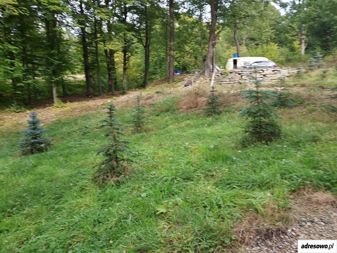 Działka rolno-budowlana Limanowa, ul. Partyzantów. Zdjęcie 1