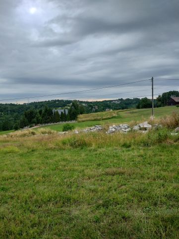 Działka budowlana Rzeszotary Rzeszotary Górne, ul. Szlachecka. Zdjęcie 1