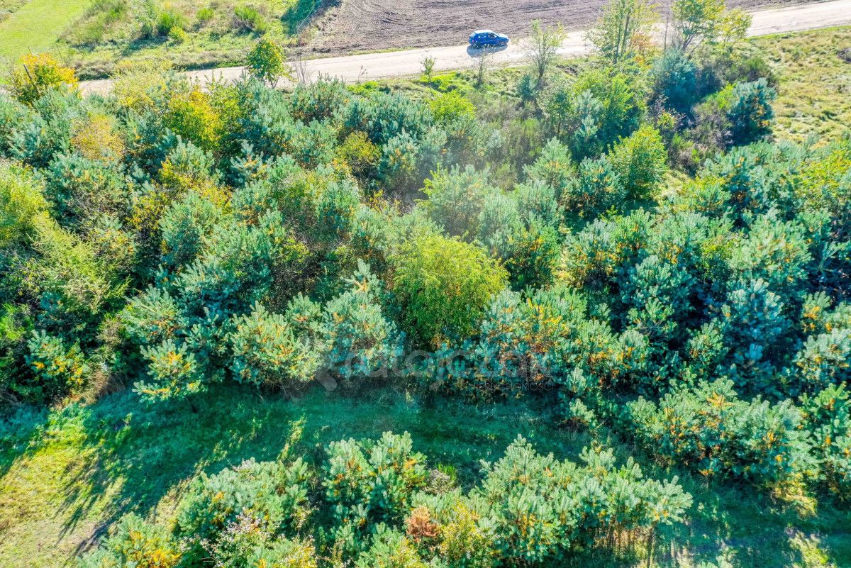 Działka inwestycyjna Łebcz, ul. Polna. Zdjęcie 12