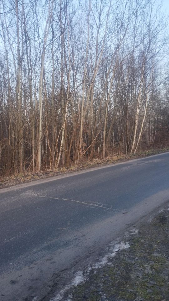 Działka inna Skarżysko-Kamienna Dolna Kamienna, ul. Podemłynek. Zdjęcie 2