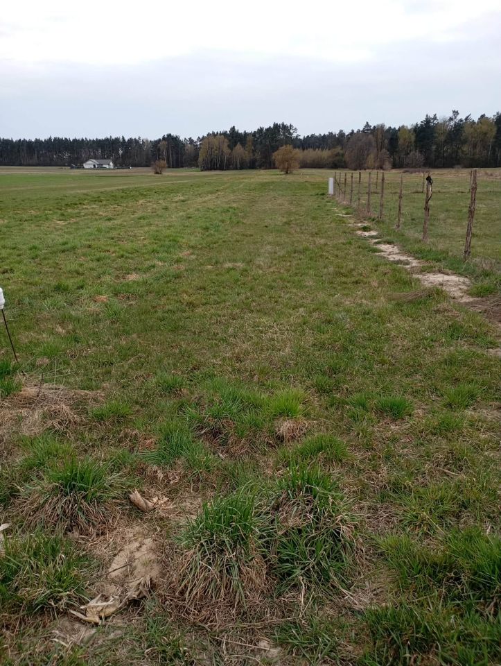 Działka budowlana Siedlików. Zdjęcie 6