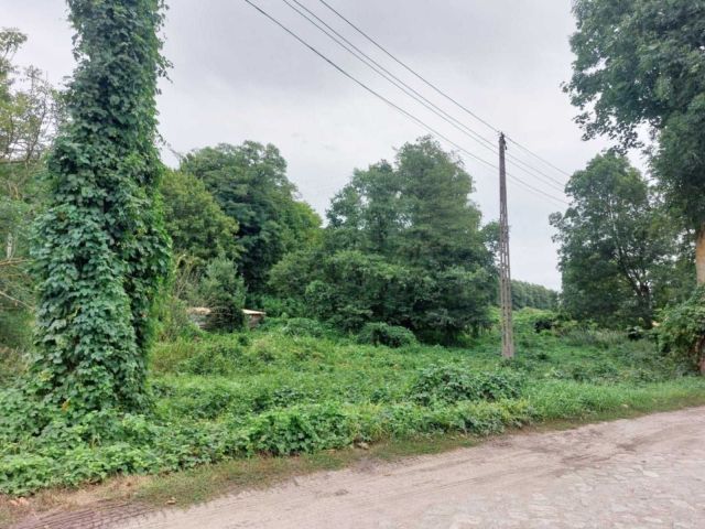 Działka rekreacyjna Mieścisko. Zdjęcie 1