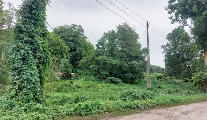 Działka rekreacyjna Mieścisko