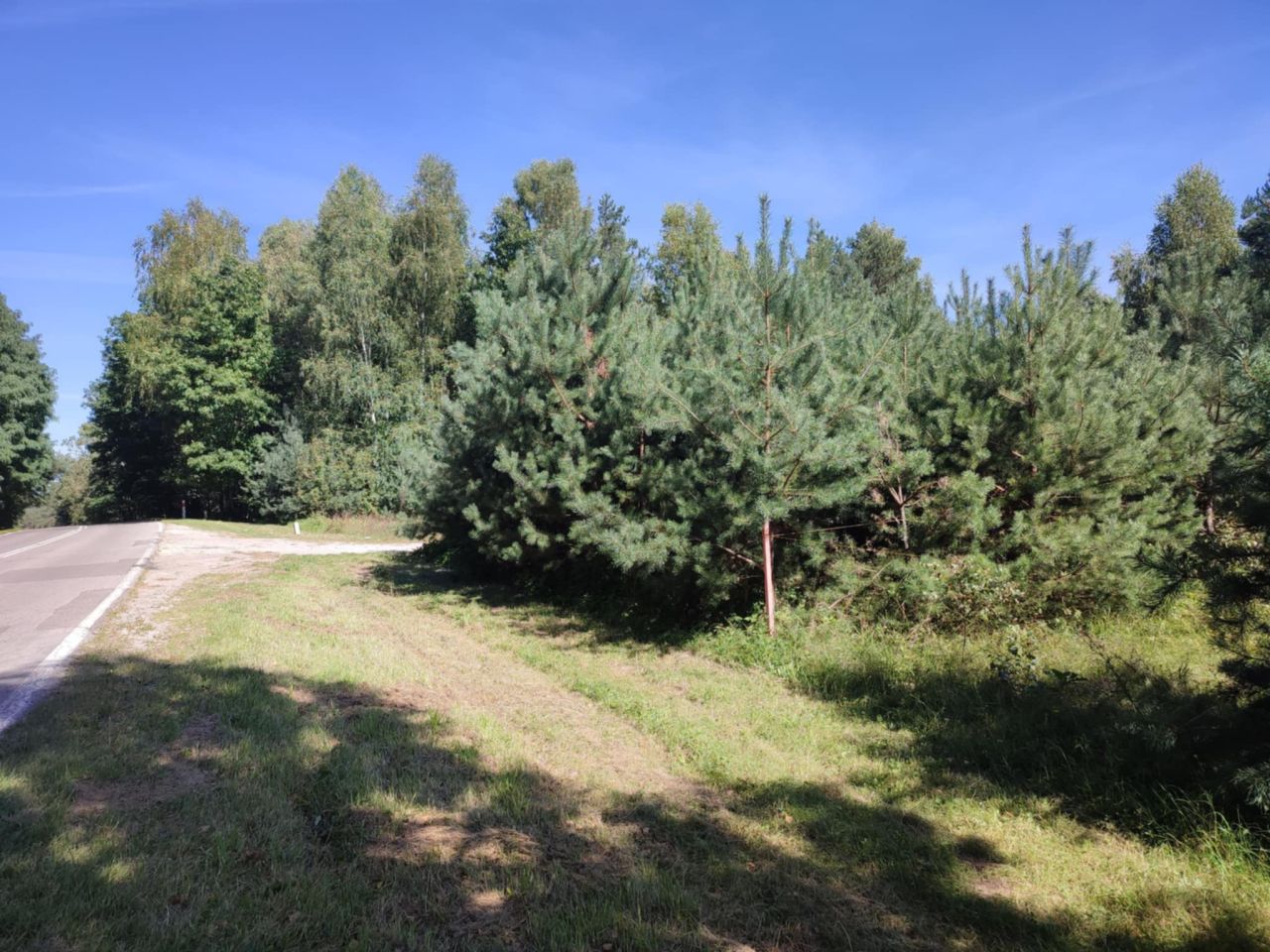 Działka rekreacyjna Pągowiec. Zdjęcie 3