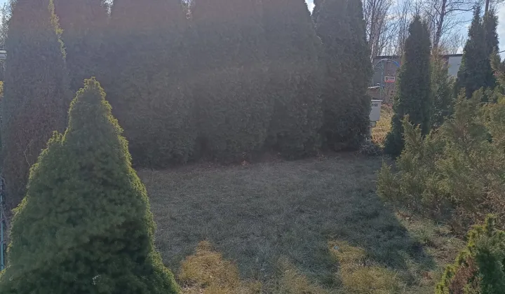 Działka rod Łódź Teofilów, ul. Traktorowa