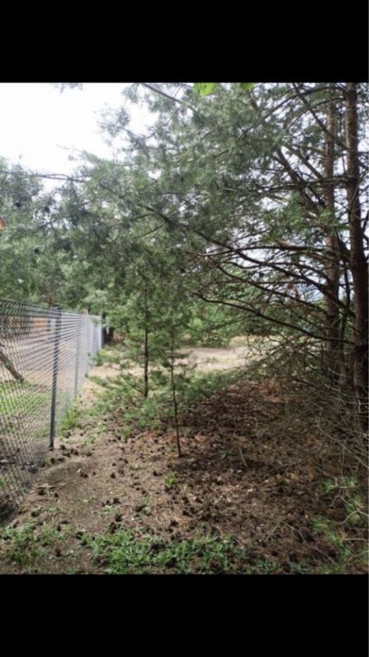 Działka budowlana Wymysłowo. Zdjęcie 4