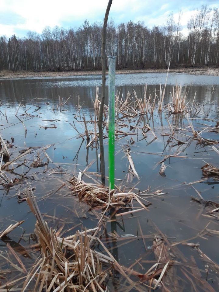 Działka rekreacyjna Zalesie. Zdjęcie 7