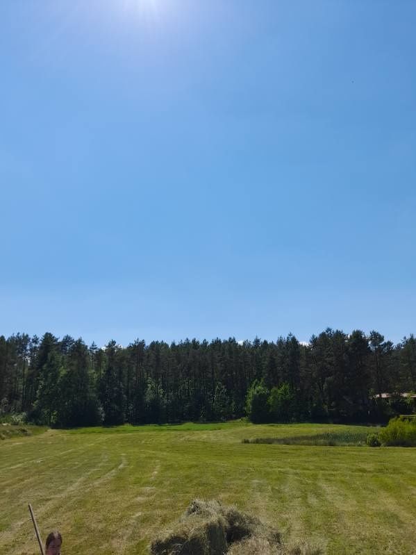 Działka rolna Kistowo Chojna. Zdjęcie 3