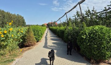 gospodarstwo, 4 pokoje Ciechanki Kolonia Ciechanki