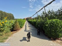 gospodarstwo, 4 pokoje Ciechanki Kolonia Ciechanki. Zdjęcie 1