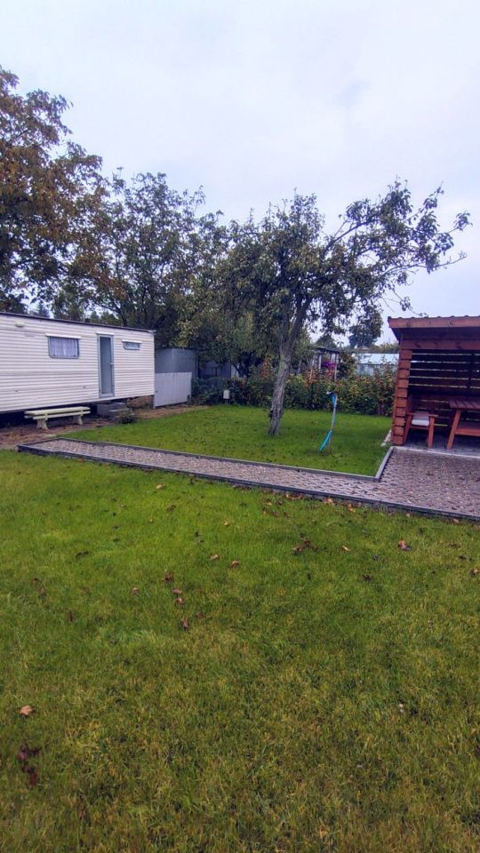 Działka rod Mogilno. Zdjęcie 8