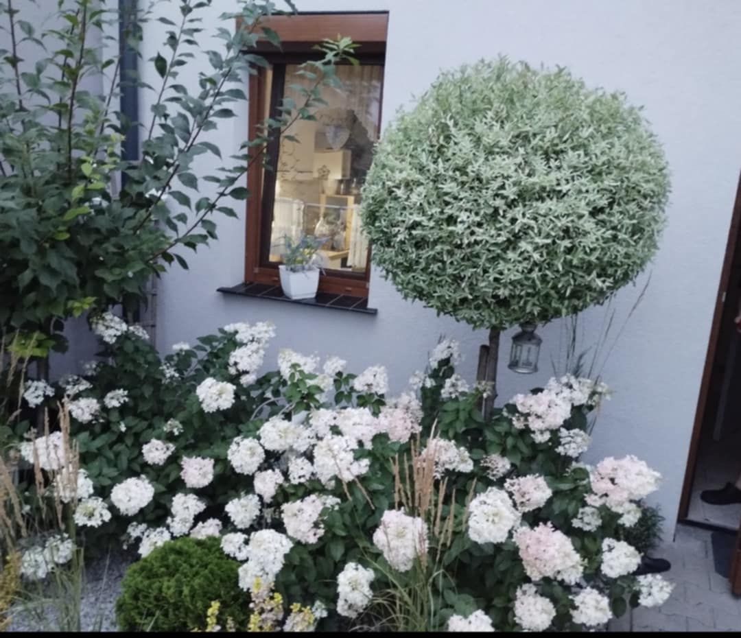 dom szeregowy, 5 pokoi Smolec, ul. Jagodowa. Zdjęcie 8