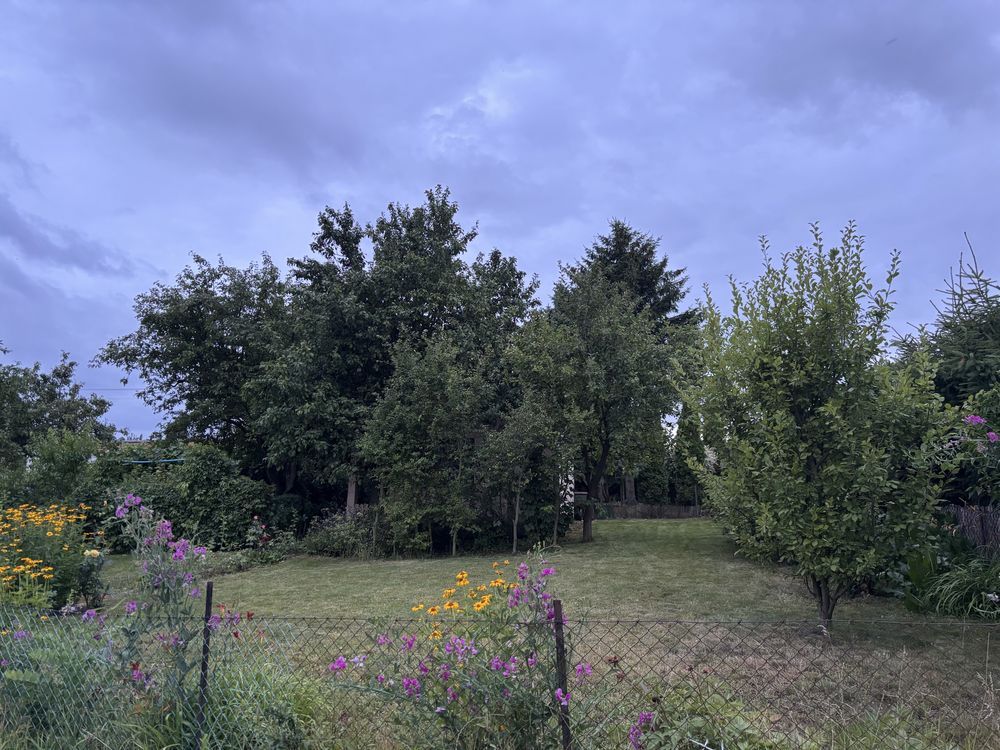 Działka rod Gniezno, ul. Górna. Zdjęcie 6