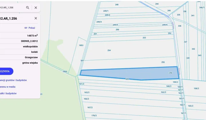 Działka rolna Grzegorzew