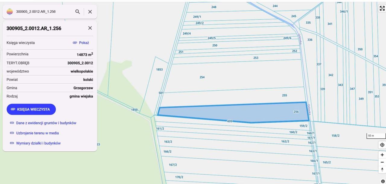 Działka rolna Grzegorzew. Zdjęcie 1