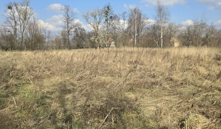 Działka rolno-budowlana Roszkowice