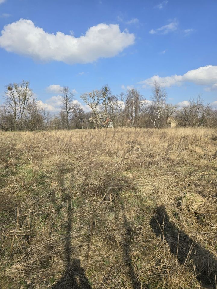 Działka rolno-budowlana Roszkowice. Zdjęcie 1