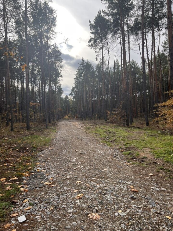 Działka budowlana Sulejówek, ul. Muzyczna. Zdjęcie 2