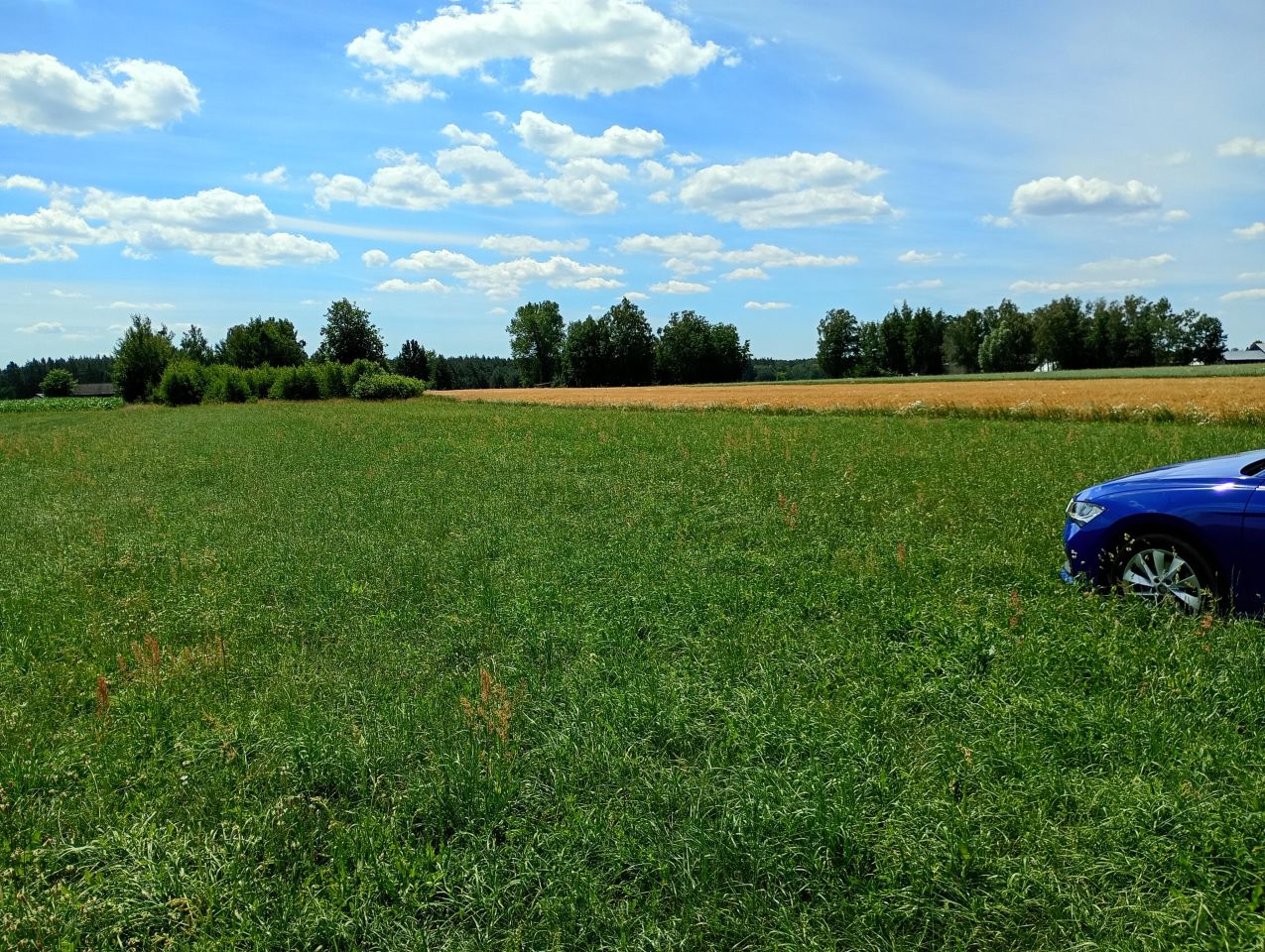 Działka rolno-budowlana Grodzisk Kolonia Grodzisk. Zdjęcie 1