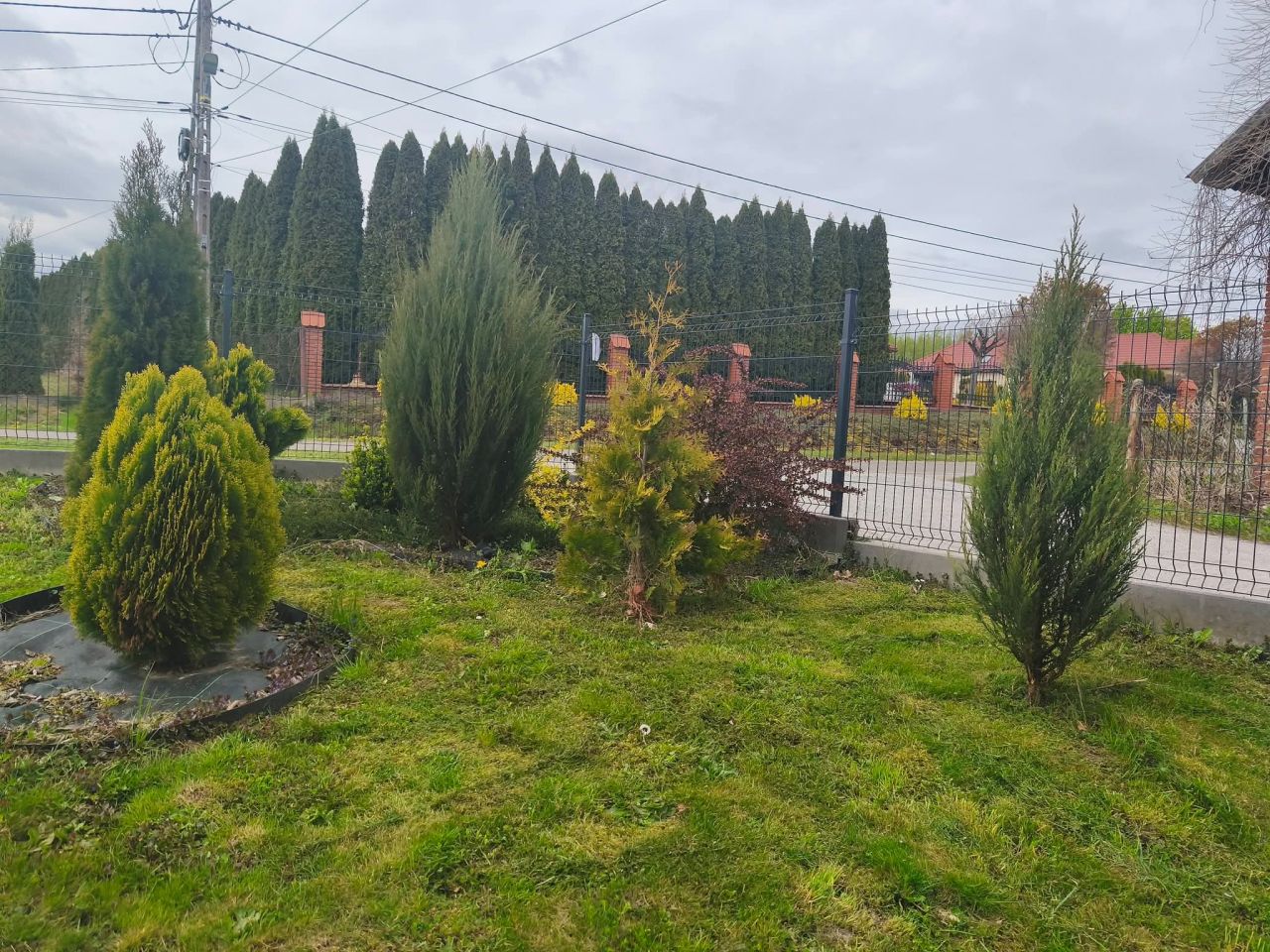 Mieszkanie 3-pokojowe Kosienice Średnie. Zdjęcie 10