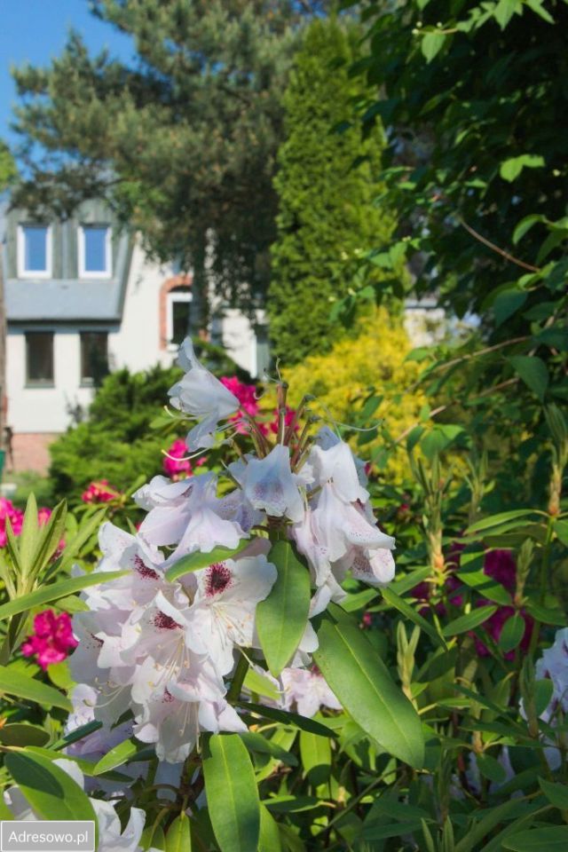 dom wolnostojący, 7 pokoi Stargard Centrum. Zdjęcie 14