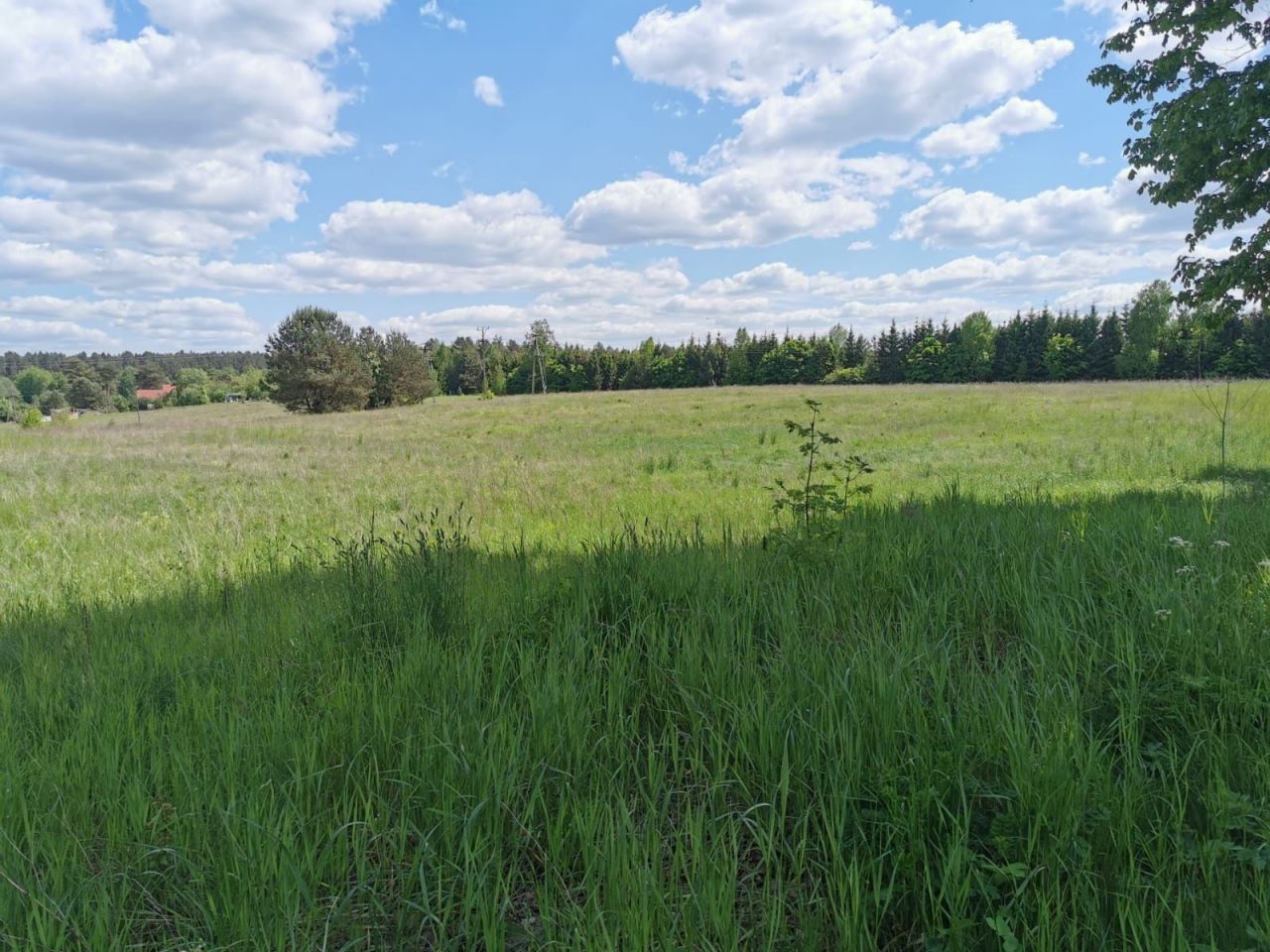 Działka rolno-budowlana Komorowo. Zdjęcie 8