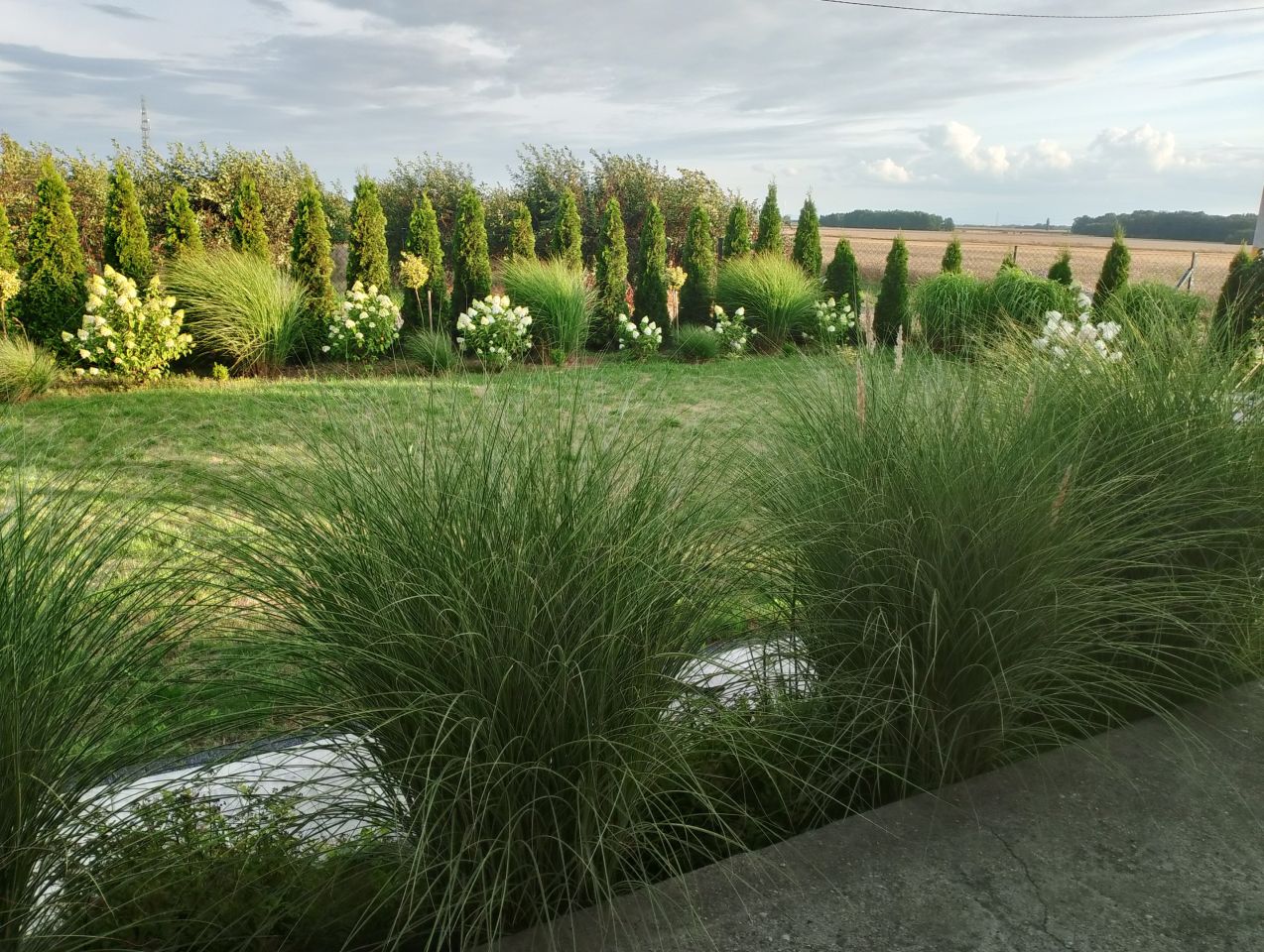 dom wolnostojący, 4 pokoje Jankowice Małe. Zdjęcie 8