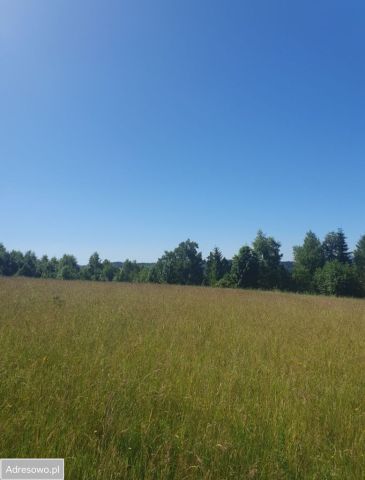 Działka budowlana Jodłów. Zdjęcie 1